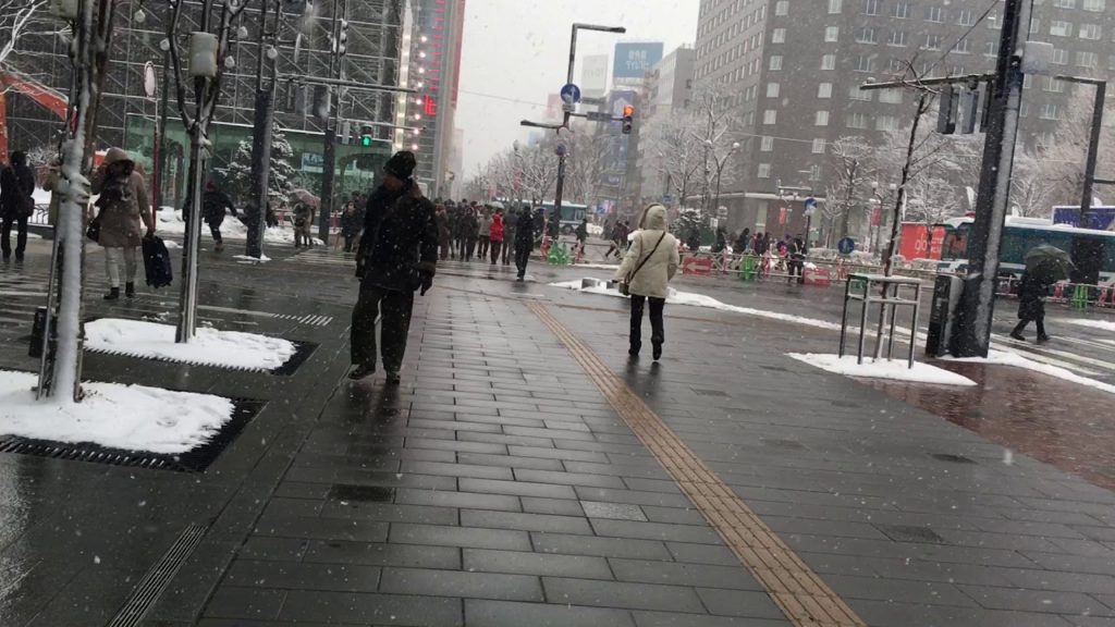 Sapporo travel odori park