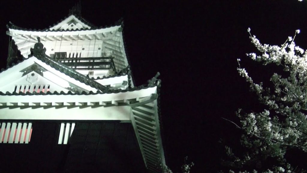 桜・浜松城（出世城）3,Sakura,Hamamatsu-castle,Japan
