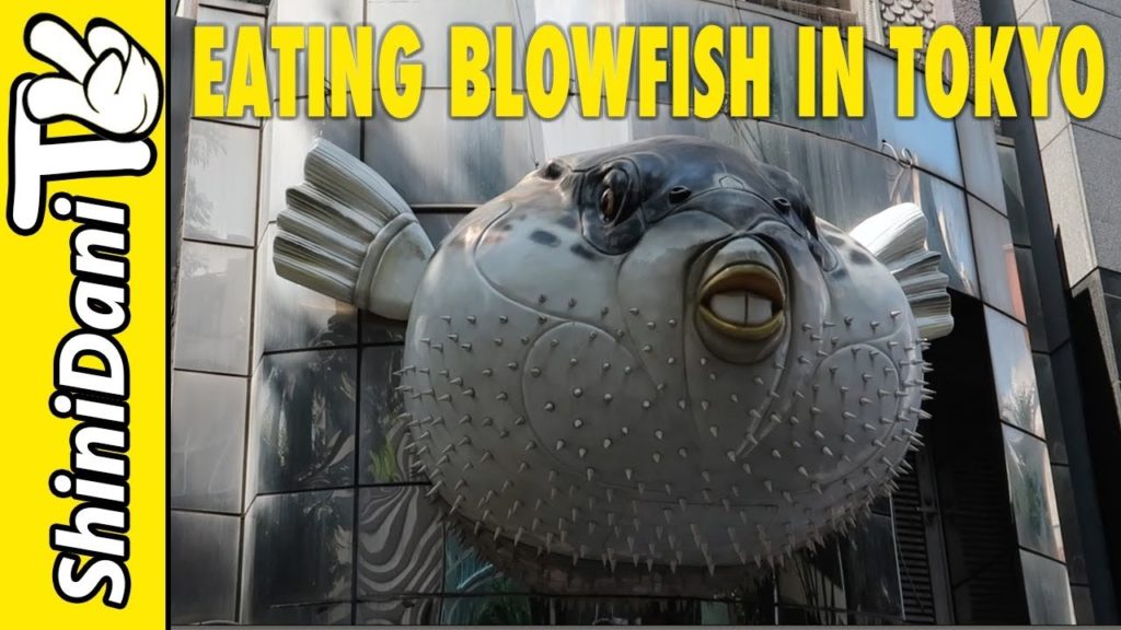 Japan Travel Vlog Day 12 – Poisonous blowfish and best pancakes Japan Travel Vlog Day 12 - Poisonous blowfish and best pancakes