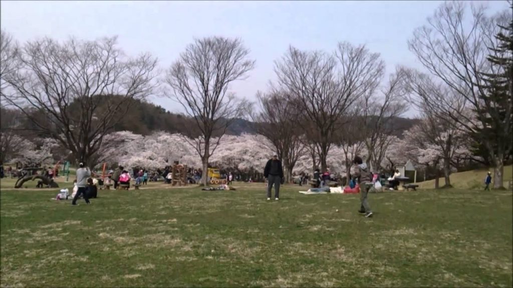 Japan Travel: Alps Park beautiful cherry blossom viewing, Nagano, Japan