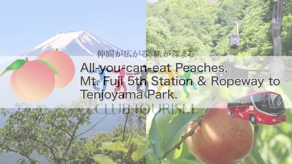 Introduction of YOKOSO Japan Tour (Peach Picking & Mount Fuji)  E42