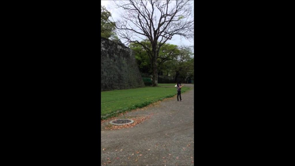熊本城 (Kumamoto Castle) | Yuki Travels