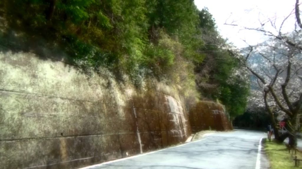 桜・秋葉ダム3（浜松市）,Sakura,Akiha-Dam,Hamamatsu,Japan