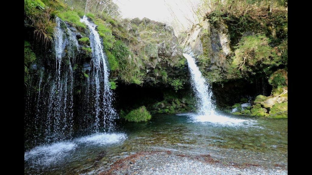 JG☆☆☆4K 静岡 猪之頭湧水 Shizuoka,Inokashira Springs
