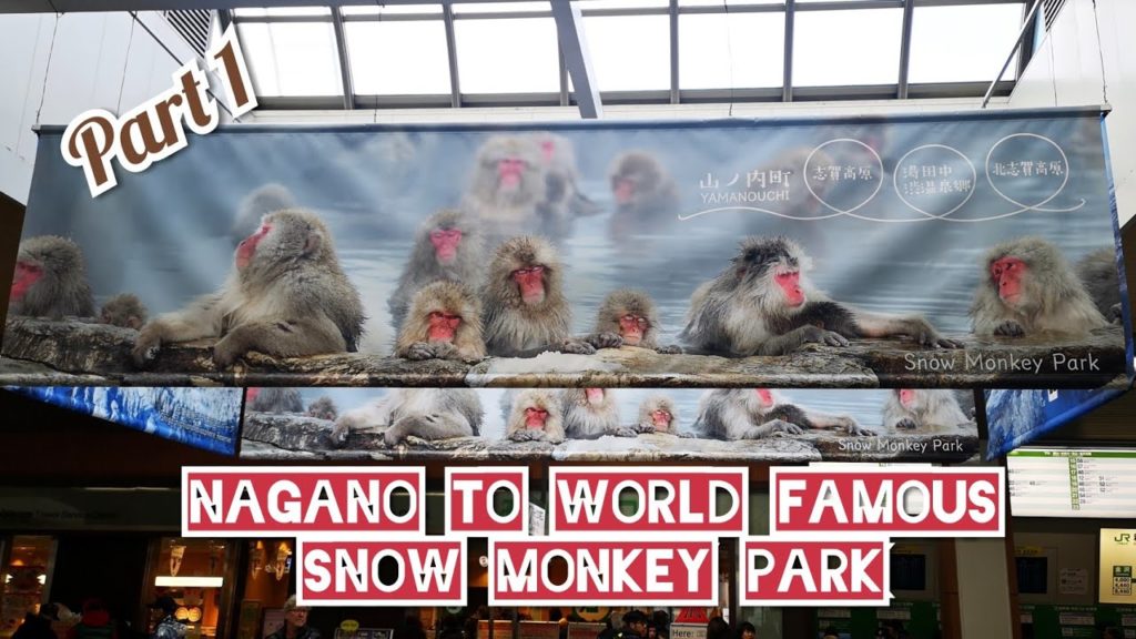 Adeyto 🐵 NAGANO Snow Monkeys Park Jigokudani Part 1(get there) Huawei P20 Pro