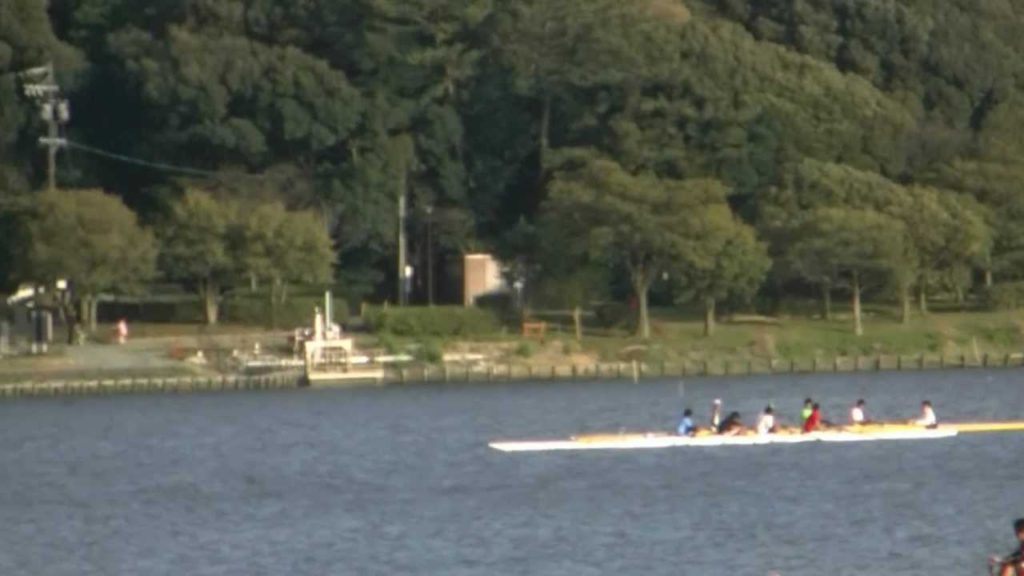 アキーラさん！浜松・佐鳴湖公園1,Sakura,Lake-Sanaru,Hamamatsu,Japan