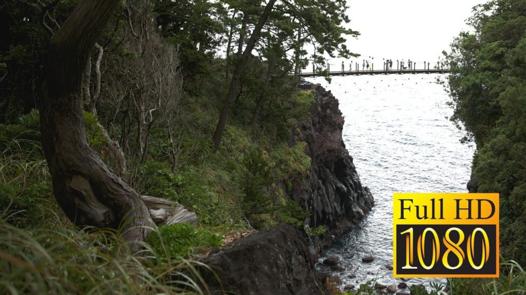 Kadowaki Suspension Bridge - Shizuoka - 門脇吊橋 - Full HD