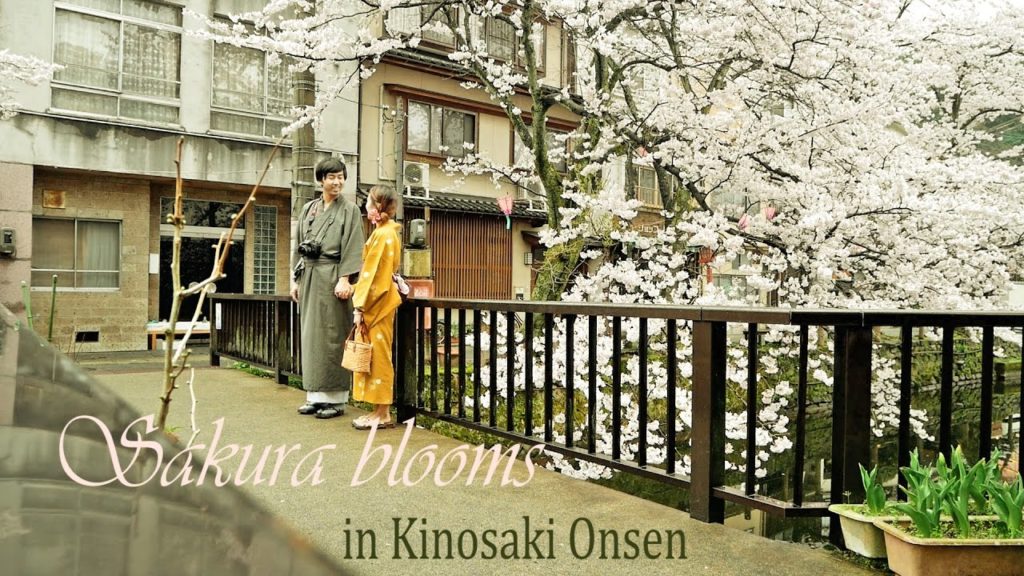 Kinosaki Onsen, Japan Travel VLOG Sakura 2017　 城崎温泉