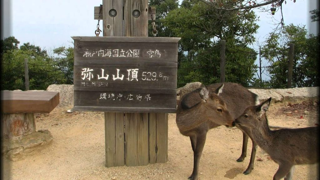 Japan Travel: Exploring Japan's Beauty and Spiritualism at Mount Misen, Miyajima, Hiroshima 18 Japan Travel: Exploring Japan's Beauty and Spiritualism at Mount Misen, Miyajima, Hiroshima 18