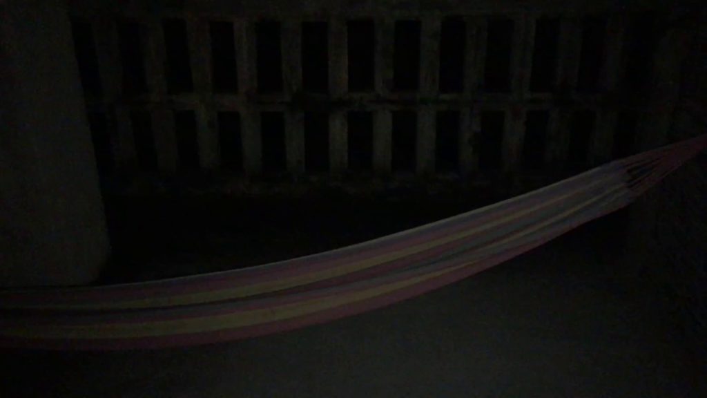 アキーラさん野営！沖縄県・名護市の田舎でカエルの合唱を聴く！Flogs in Nago city in Okinawa island