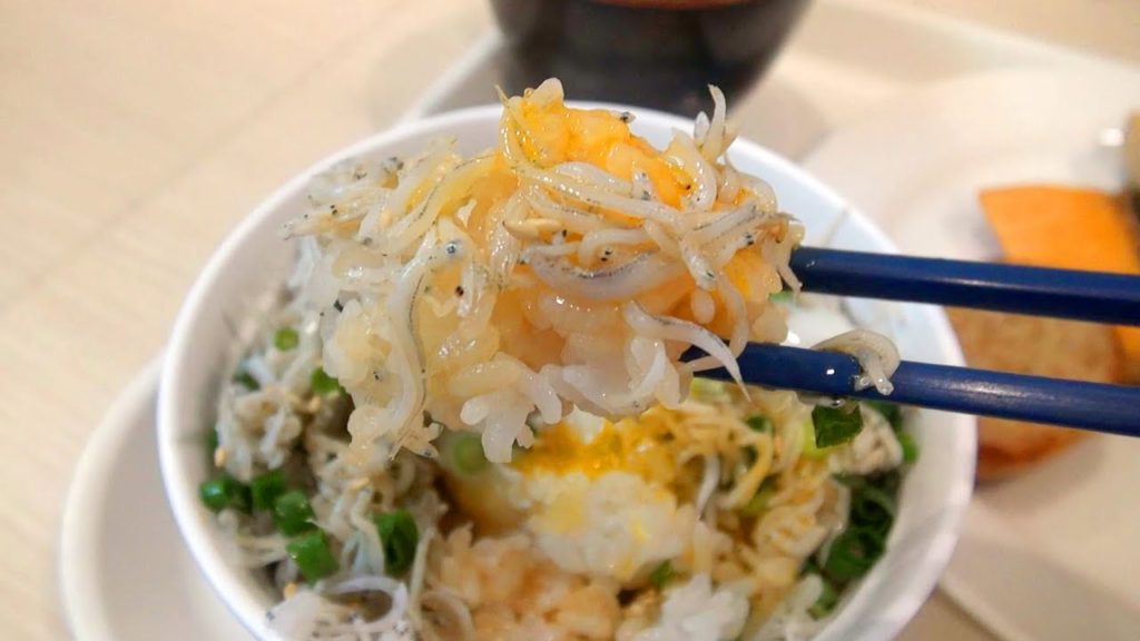 summary version of Kamakura Journey シラスだらけの鎌倉旅総集編:Gourmet Report グルメレポート