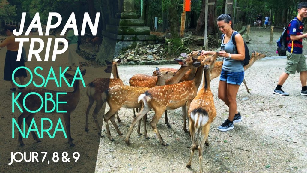 JAPAN TRIP - OSAKA, KOBE ET NARA #4