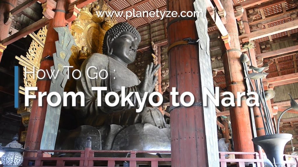 How to go From Tokyo to Nara | Japan Travel Guide