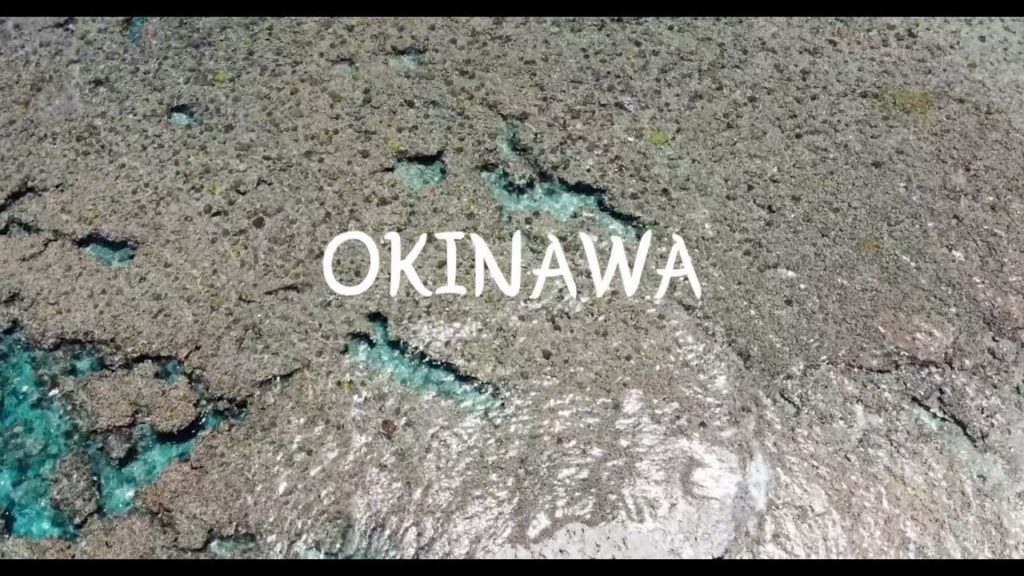 OKINAWA TRAVEL 오키나와 여행