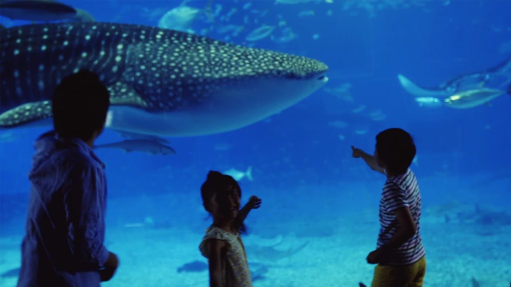 Family Trip to Beautiful Okinawa