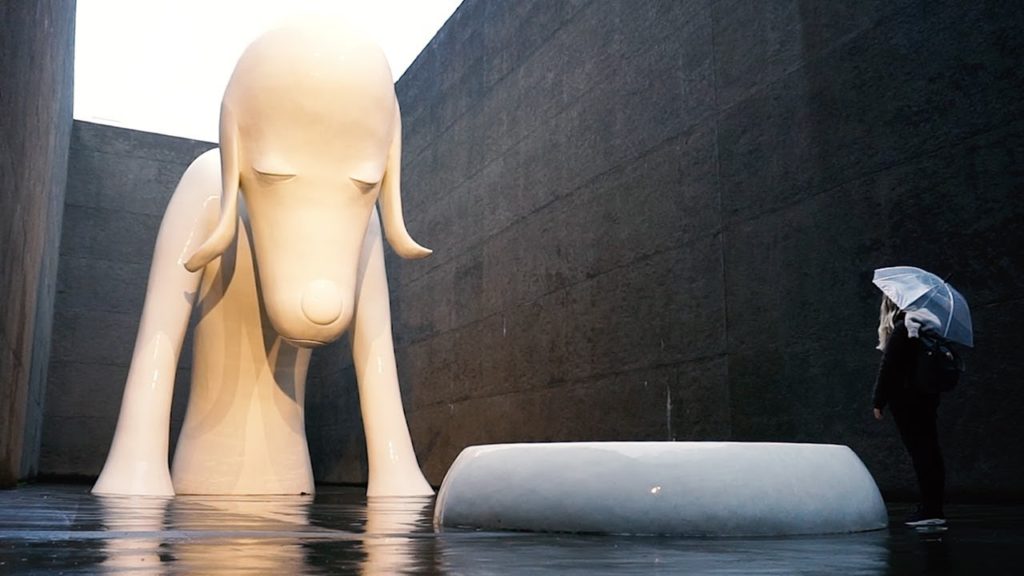 A day in Aomori art museum, Japan