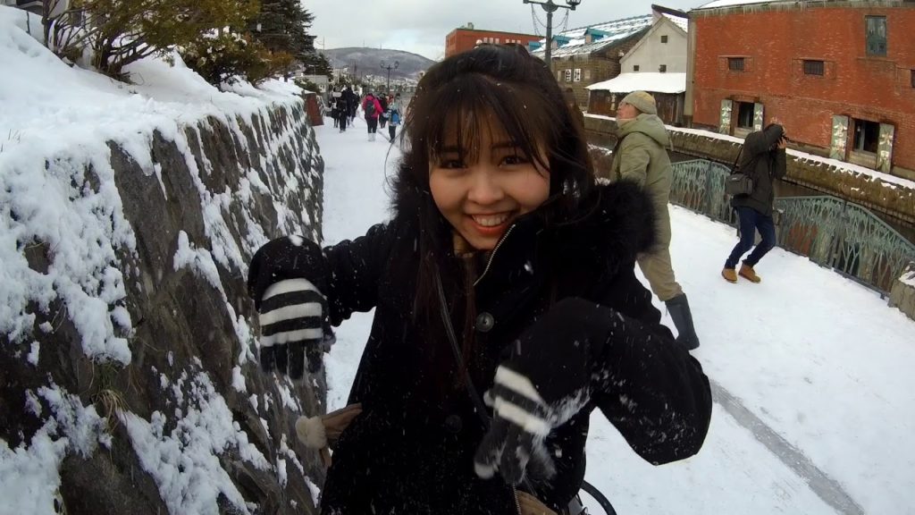 Hokkaido Otaru ,Winter 2018