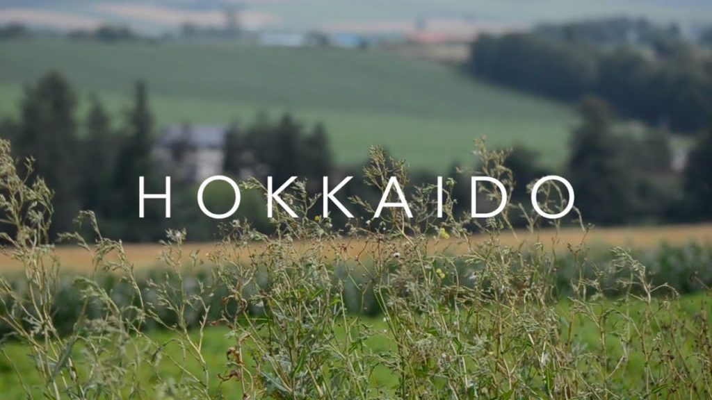 Hokkaido travel diary l August 2015