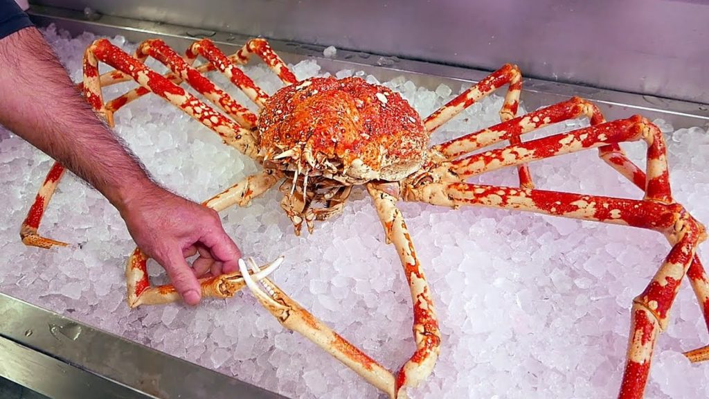 Japanese Street Food - $500 GIANT SPIDER CRAB Seafood Okinawa Japan