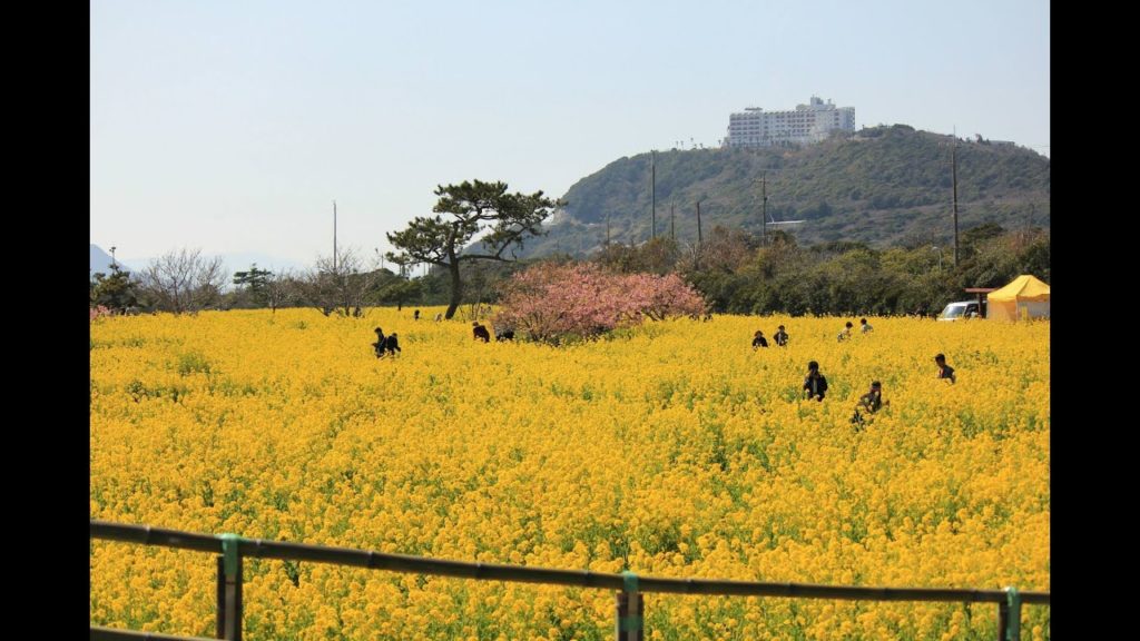 Ncig ua si saib teb chaws Japan 2015(Tahara traveling 2015 )