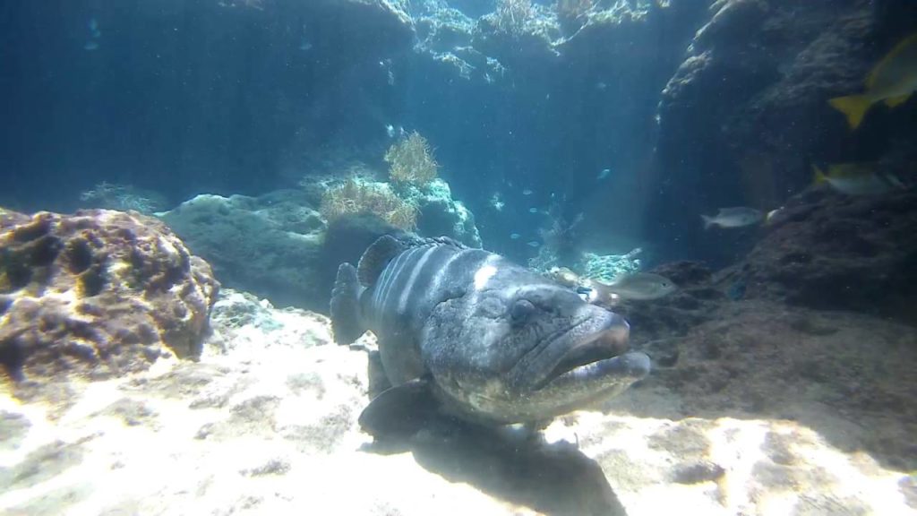 Shot on Qlippie / Okinawa Travel Memory