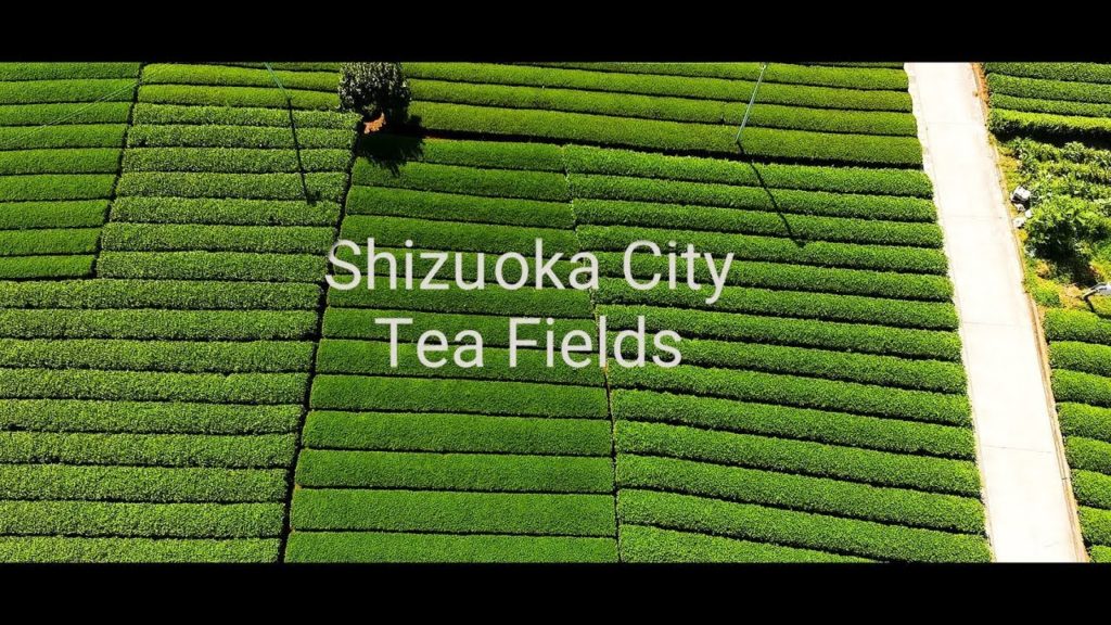 Drone Shizuoka City Tea Fields -short version, Japan
