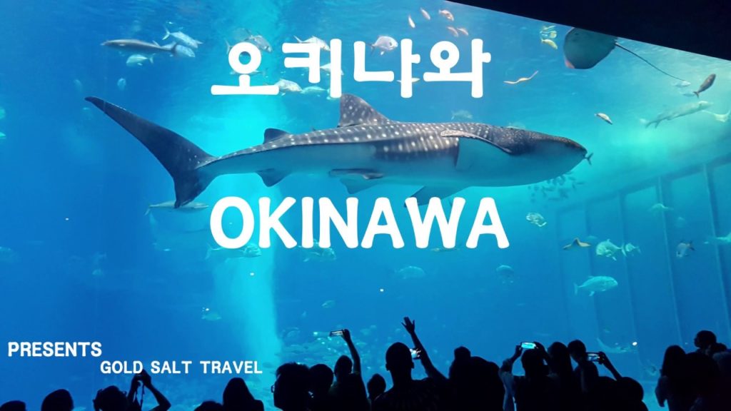 오키나와 (여행 일정 안내서)  Okinawa travel