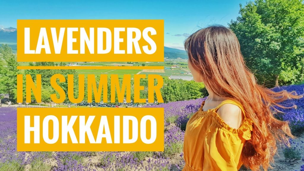 Lavenders in Hokkaido! Lavenders in Hokkaido!