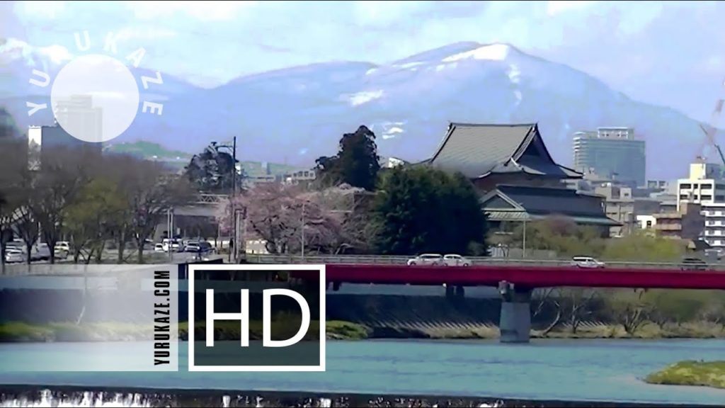 76. Sakura in Sendai, Miyagi, Tohoku, Japan