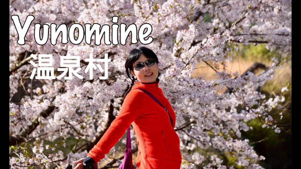 Japan Travel: Yunomine Onsen, Kii Peninsula 日本纪伊湯の峰温泉村