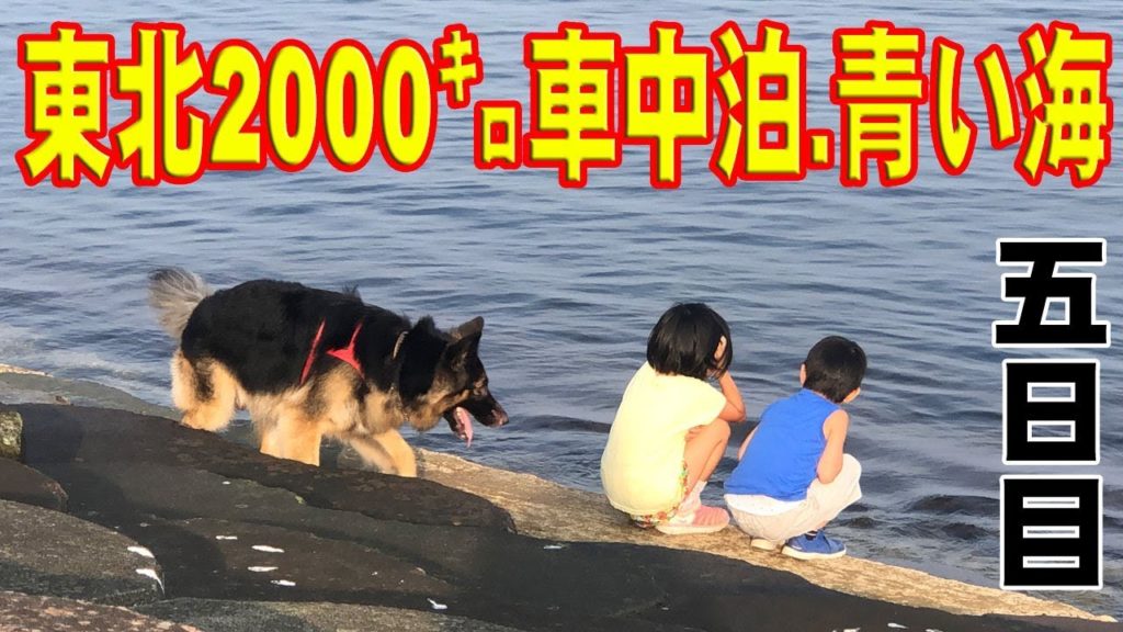 やってまれ!立佞武多2019'夏の東北☆キャンピングカーライフ車中泊の旅(五日目) やってまれ!立佞武多2019'夏の東北☆キャンピングカーライフ車中泊の旅(五日目)