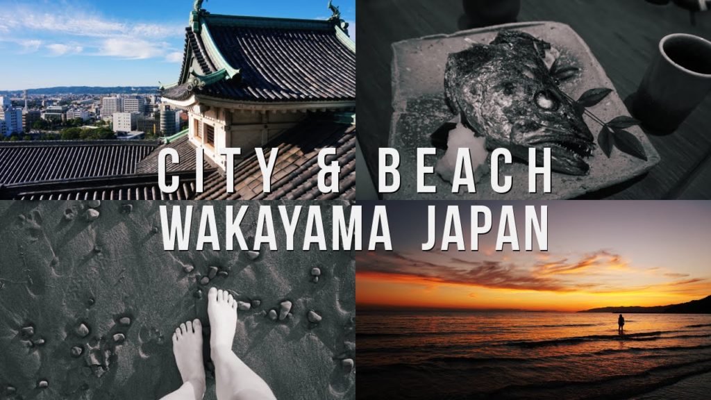 SIGHTSEEING, awesome FOOD & BEACH in WAKAYAMA | Experience Japan