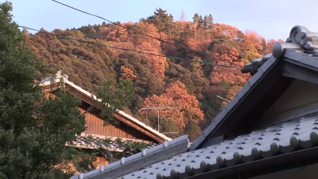 Philosoper's Path and Honen-in temple and gardens, Kyoto, Japan travel video