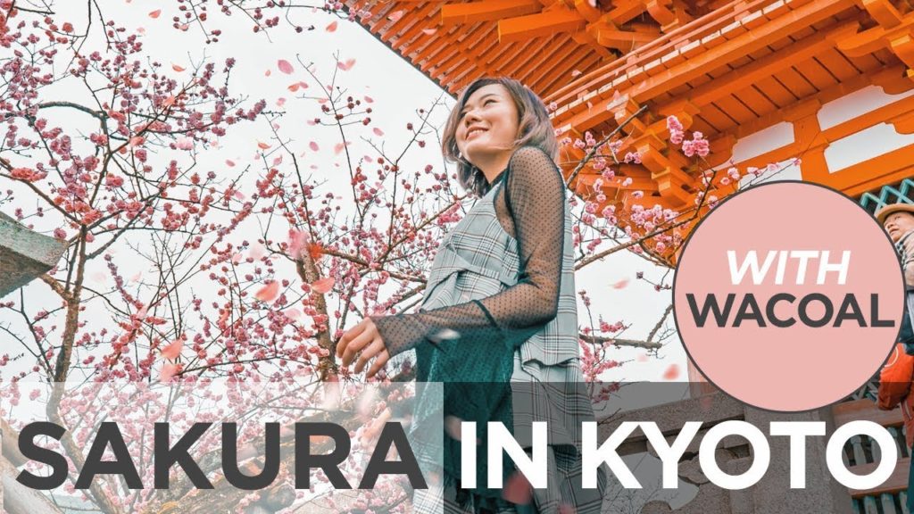 Sakura in Kyoto with Wacoal | Camille Co Sakura in Kyoto with Wacoal | Camille Co