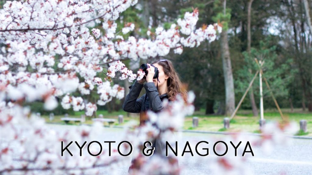 Japan Travel Diary: Kyoto & Nagoya | TRYTRYTRY