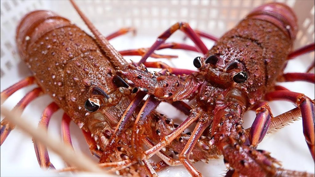 Japanese Street Food - PINK LOBSTERS Sashimi Baked Lobster Okinawa Seafood Japan