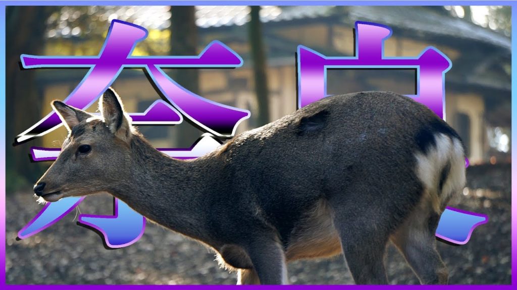 NARA, fra cervi, templi e foreste! – BIG IN JAPAN ep 8 NARA, fra cervi, templi e foreste! - BIG IN JAPAN ep 8