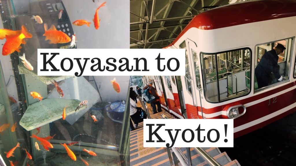 Koyasan to Kyoto | cari cakes in Japan Vlog (Kansai Thru Pass)