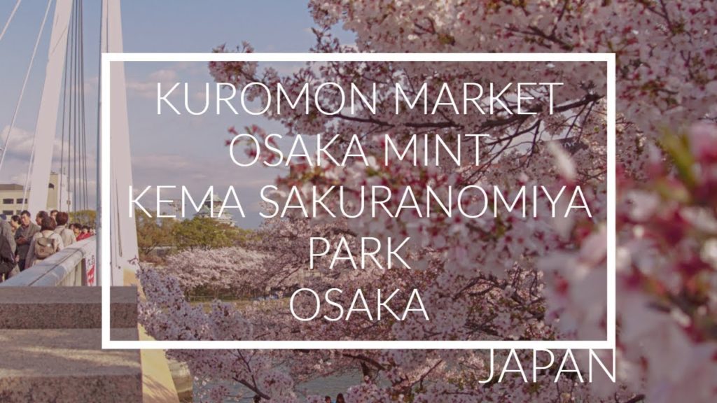 Osaka Japan Travel & Tips - Kuromon Market & Sakura Explosion 🌸
