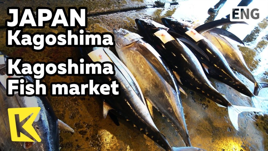 【K】Japan Travel-Kagoshima[일본 여행-가고시마]가고시마 어시장 참치/Fish market/Tuna