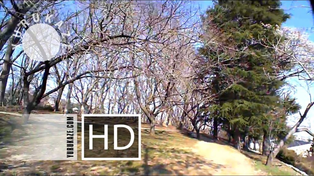 83. Mikamine Park at Nishitaga, Sendai, Miyagi, Tohoku, Japan