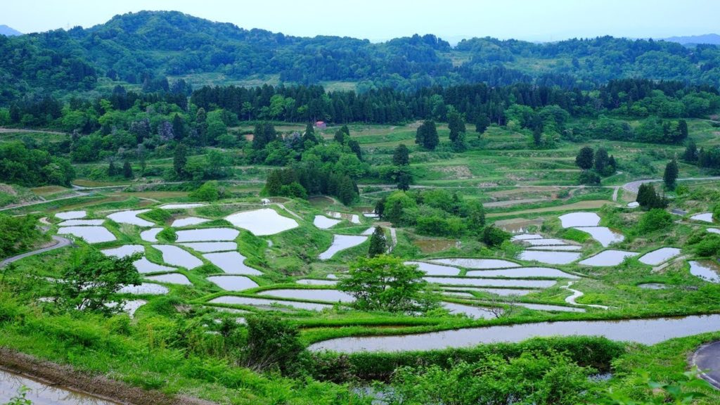 Tokamachi Tourist Attractions: 10 Top Places to Visit