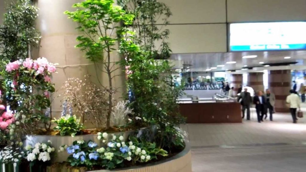 アキーラさん！ＪＲ(京成）千葉駅周辺散策③,JR-Chiba-station,Chiba,Japan