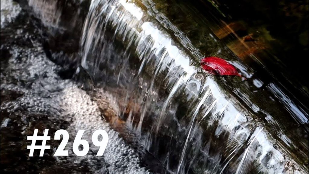 VLOG #269 LE KORAKU-EN D'OKAYAMA,UN DES 3 PLUS BEAUX JARDINS DU JAPON!