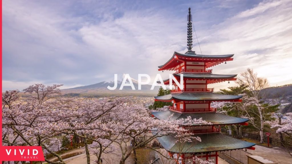 Discover Japan with VIVID Travel