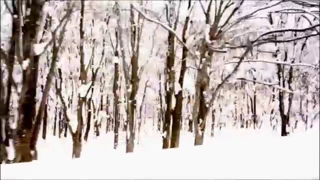 Hakkoda Ropeway | Aomori City, Japan Hakkoda Ropeway | Aomori City, Japan