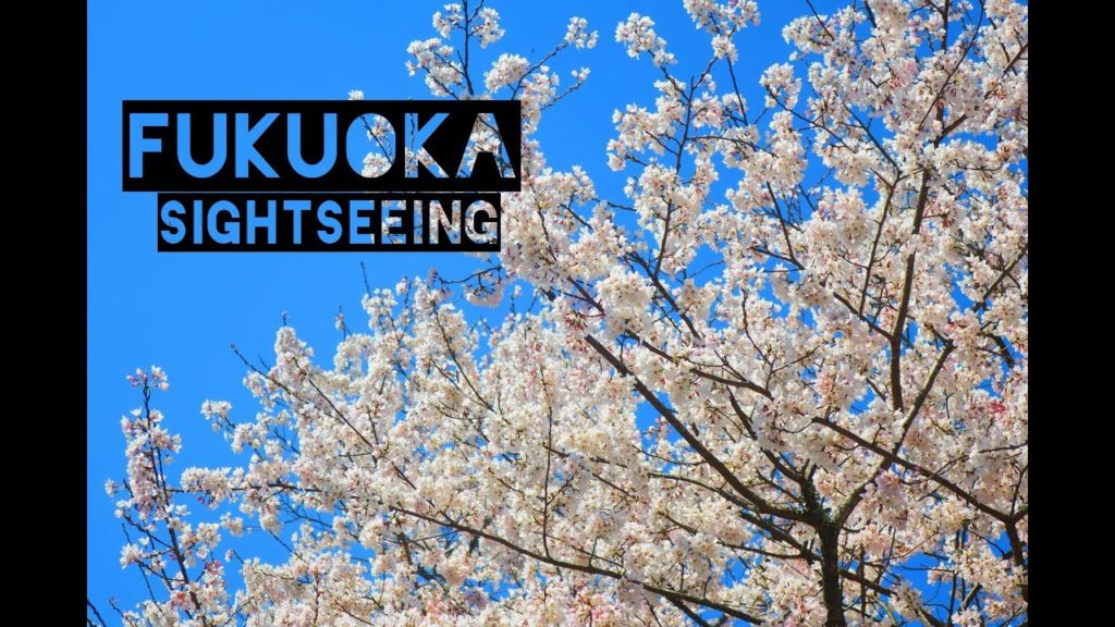 Tutoristas in Japan: Fukuoka Tutoristas in Japan: Fukuoka