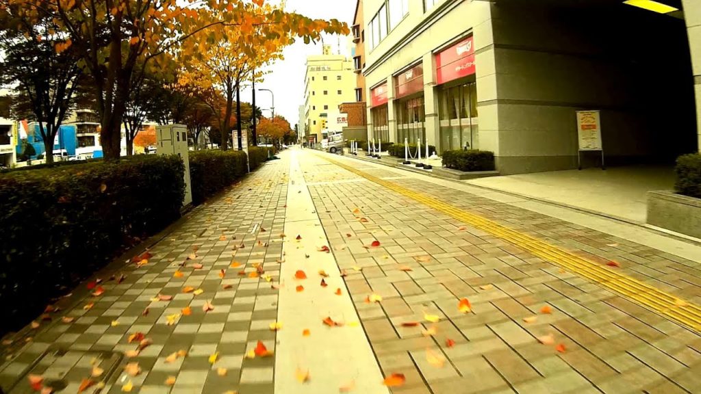 434. Autumn Sendai City bicycle ride