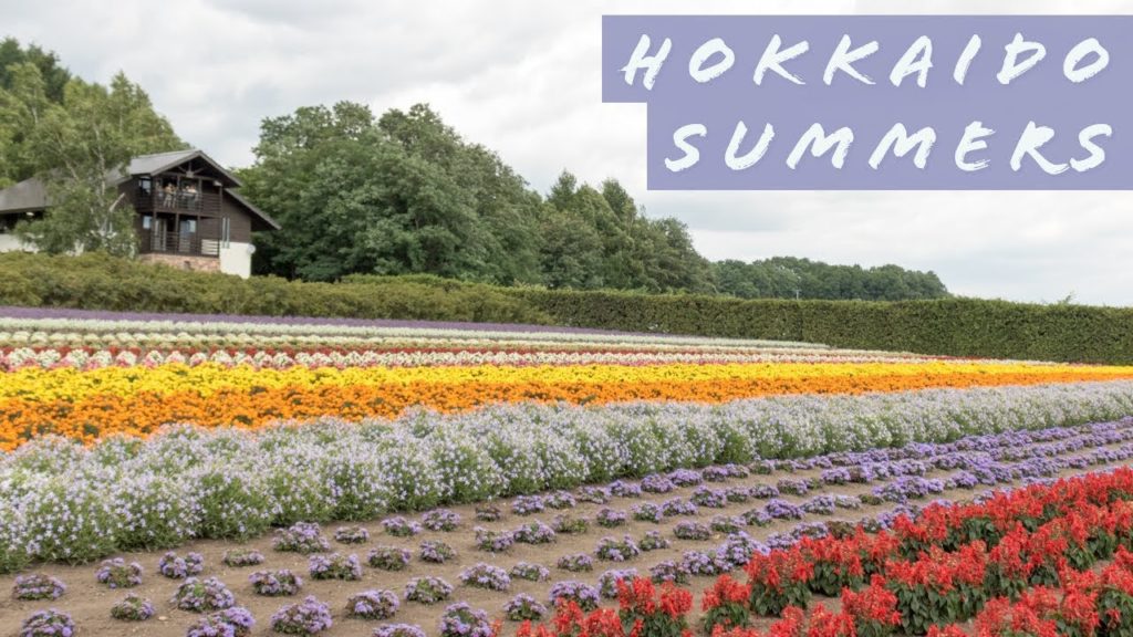 Photo Quests # 8 : Ramen Hunting through Hokkaido