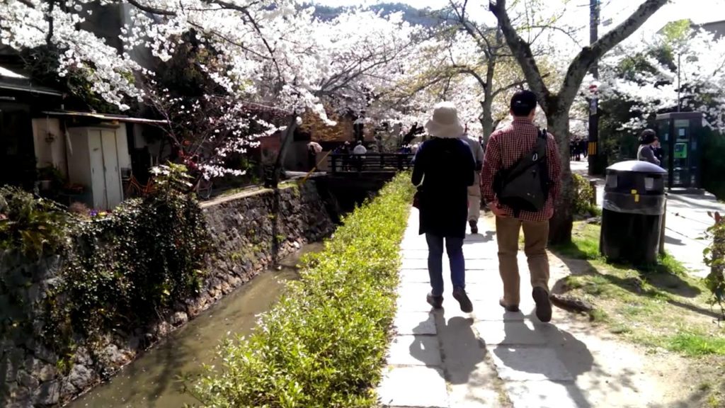 Japan Trip 2014 Bicycle Tour - Kagoshima To Tokyo